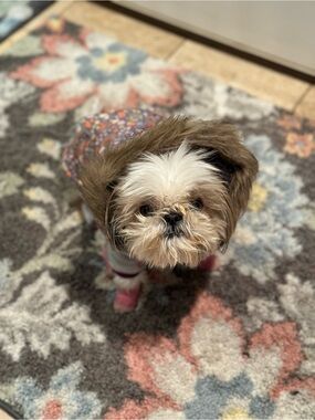 Cozy Floral Dog Coat with Faux Fur Hood